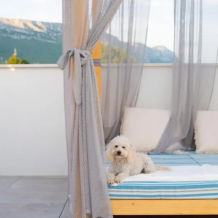 Sunny Bo With A Heated Pool And Rooftop Jacuzzi *